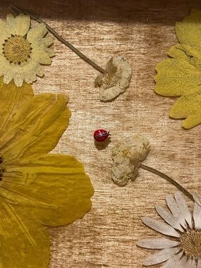 Origami Owl Red and Black Ladybug Accent Charm